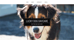 Desktop Screenshot of luckydogkett.com
