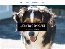 Tablet Screenshot of luckydogkett.com